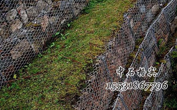 賓格網擋墻
